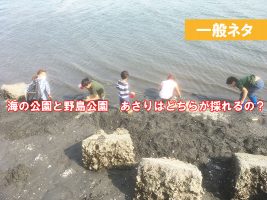 海の公園　野島公園　あさりは採れる？