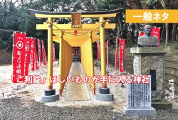 茨城　黄金の鳥居の神社は？