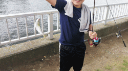 横浜で青物 アジ サバ イワシ が無料で釣れる場所 スポット はある どこの辺 さぁ 焚き火しよう キャンプ日記