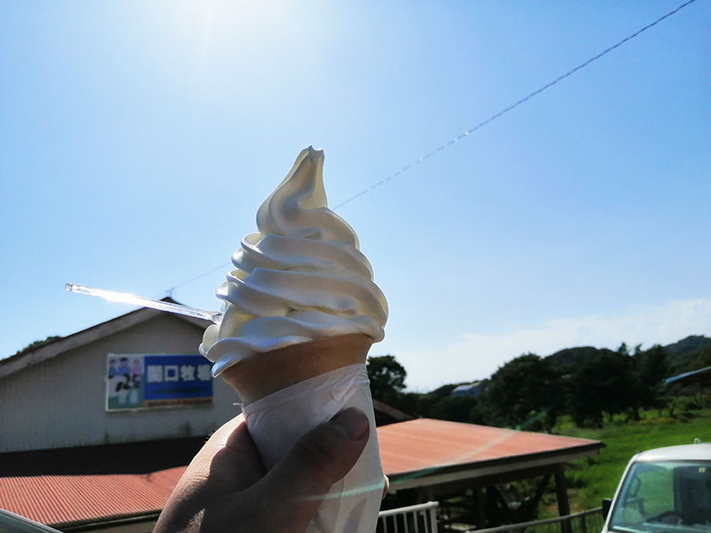 神奈川　おいしいソフトクリームのお店はどこ？