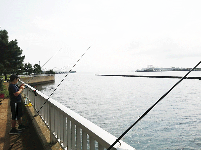 横浜でアジが釣れる場所はどこ？
