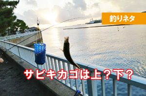 サビキ釣り仕掛け　カゴは上と下　どちらが釣れる？