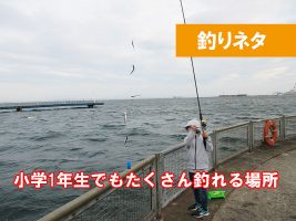 神奈川　サビキ釣りで釣れる場所はどこ？