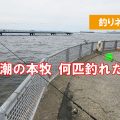 大潮の本牧海釣り施設　何が釣れた？