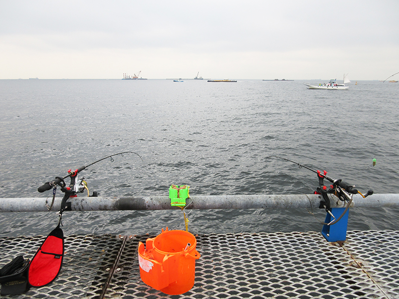 本牧海釣り施設　沖桟橋　外側と内側はどっちが釣れる？