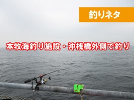 本牧海釣り施設　沖桟橋外側　釣れる？