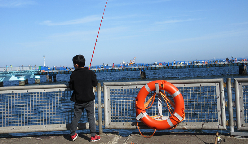 サビキ釣り　初心者におすすめの釣り方は？