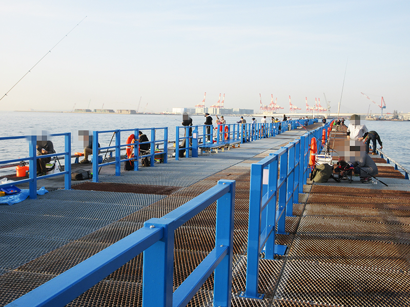 本牧海釣り施設　沖桟橋　外側と内側　どっちが釣れる？