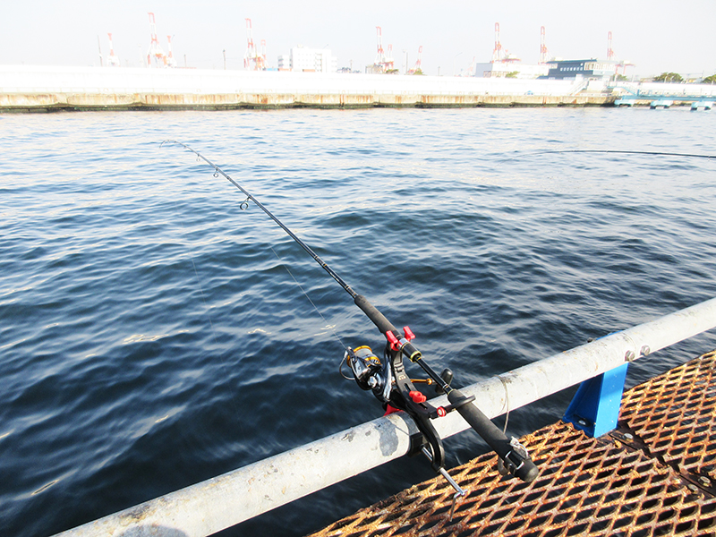 本牧海釣り施設　沖桟橋　サバは釣れてる？
