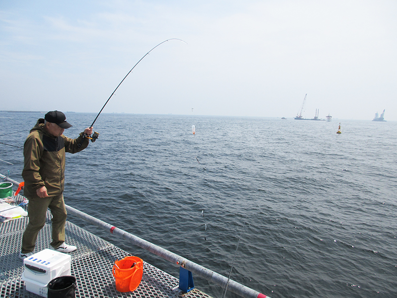 本牧海釣り施設　沖桟橋　イワシが釣れるタナはどのへん？
