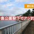 横浜　野島公園駅下　海の公園　アジは釣れるの？