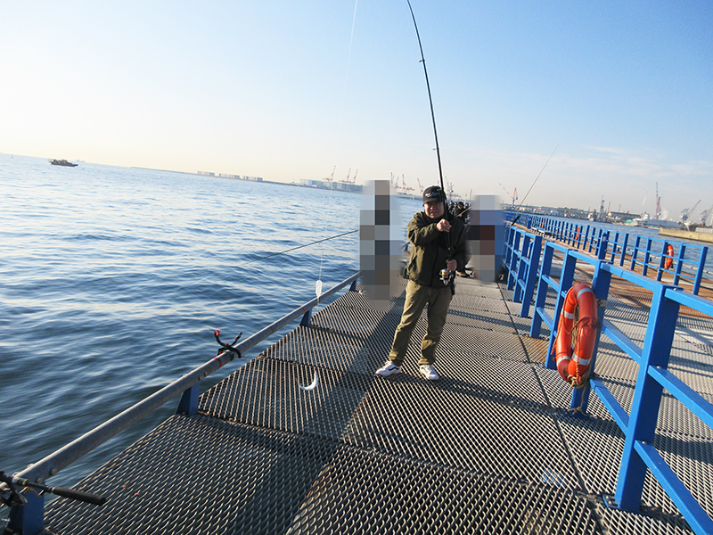 神奈川県　はじめての海釣りはどこがいい？
