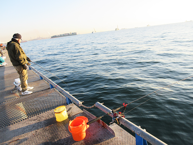 本牧海釣り施設　沖桟橋は初心者でも釣れる？