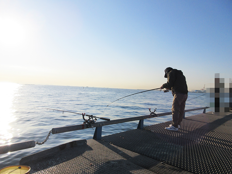 本牧海釣り施設　海釣り初心者でも沖桟橋で釣れる？