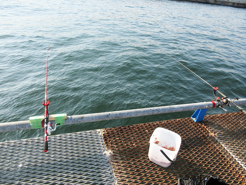 本牧海釣り施設　沖桟橋内側　どの辺で釣れる？