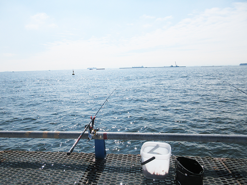 本牧海釣り施設　沖桟橋　釣れる深さはどのタナ？