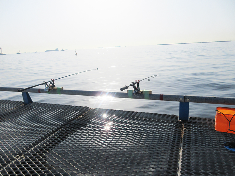 本牧海釣り施設　沖桟橋　どの深さで魚は釣れるの？