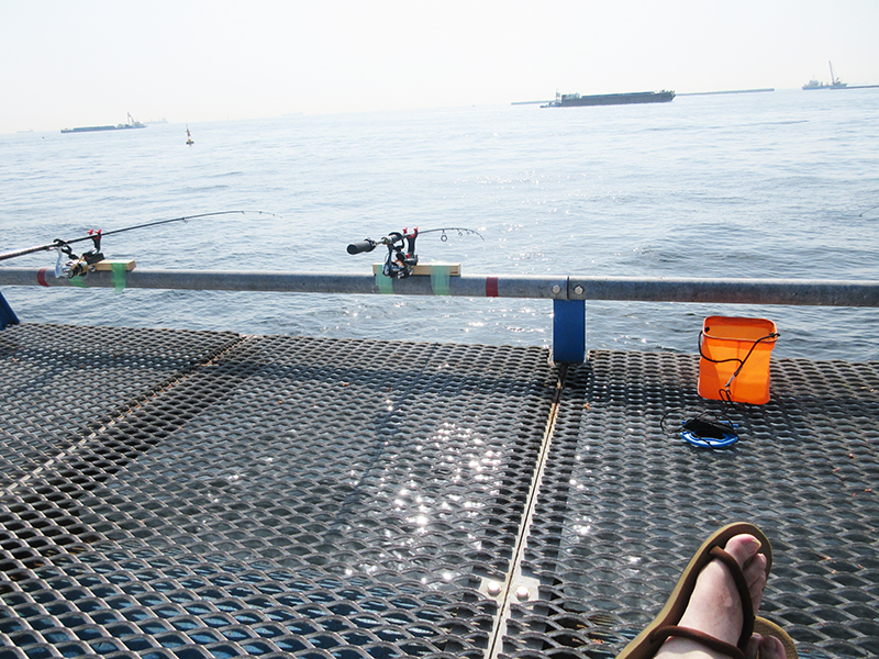 本牧海釣り施設　沖桟橋　釣れるのはどの辺り