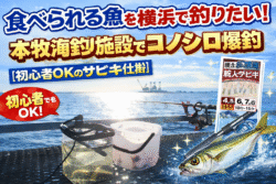 本牧海釣り施設　仕掛け　沖桟橋でサビキ