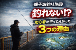 磯子海釣り施設は釣れないの？