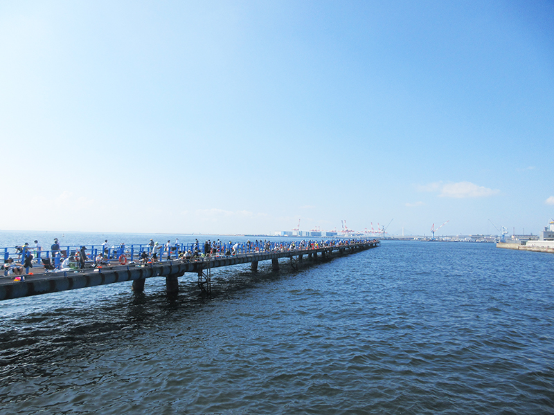 本牧海釣り施設　沖桟橋　夏　釣れてる？