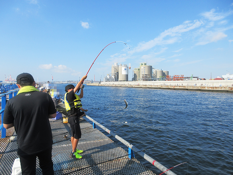 本牧海釣り施設　夏　暑い日でも釣れる？