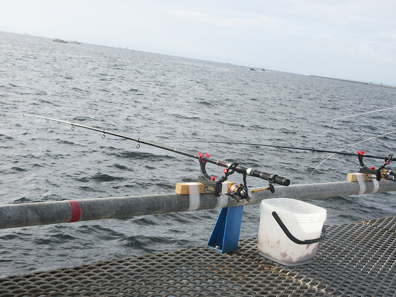 横浜　食べられる魚が釣れる釣り場はどこ？