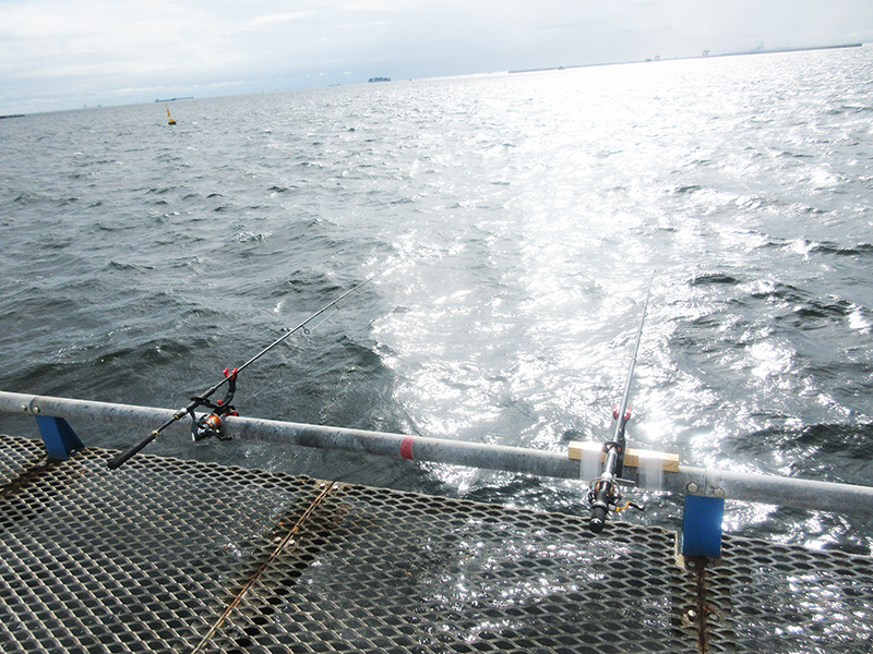 海釣り初心者　魚を釣る方法は？