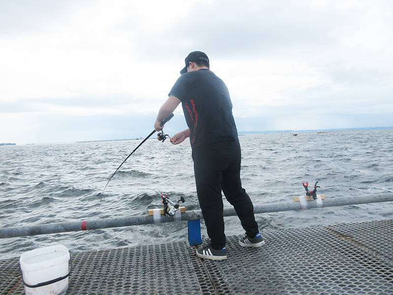 海釣り　1番釣れる釣り方は？