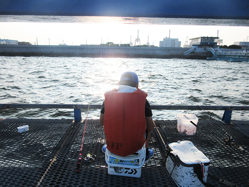 本牧海釣り施設　魚の釣り方は？