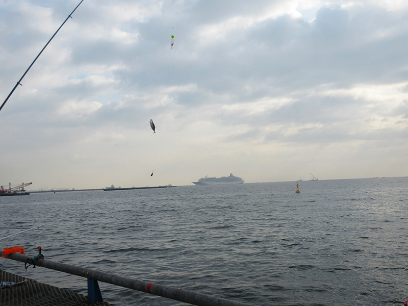 本牧海釣り施設　沖桟橋　仕掛けは何を使ってる？