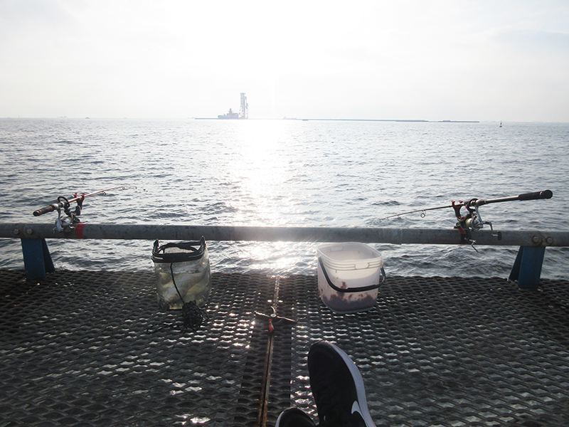 本牧海釣り施設　沖桟橋　攻略