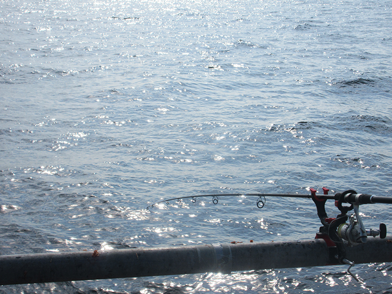 本牧海釣り施設　おすすめの仕掛けは？