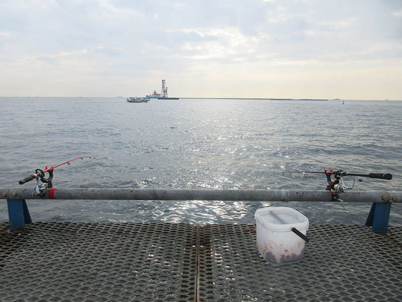 本牧海釣り施設　釣果レビュー