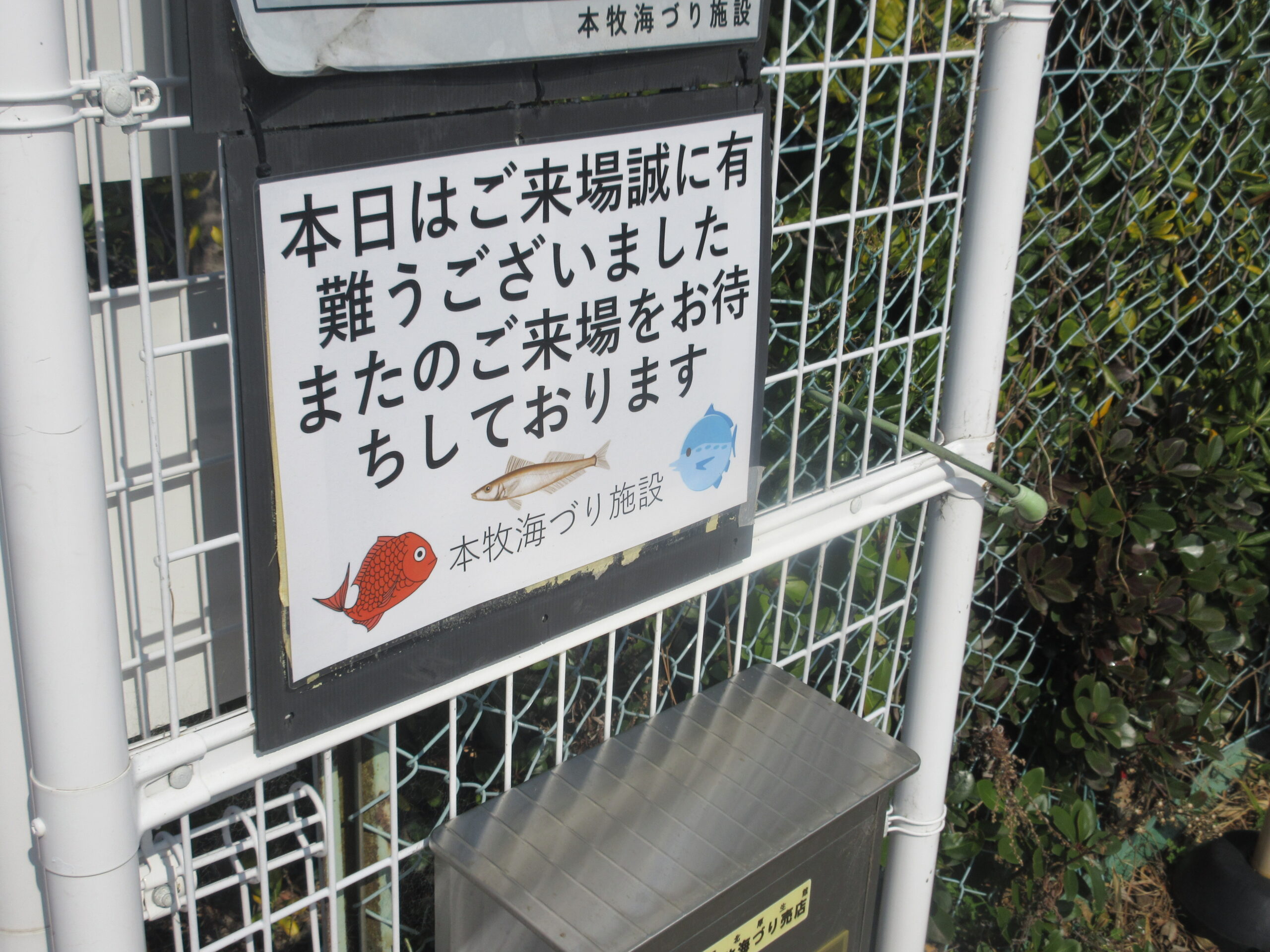 本牧海釣り施設　沖桟橋　アジの釣り方