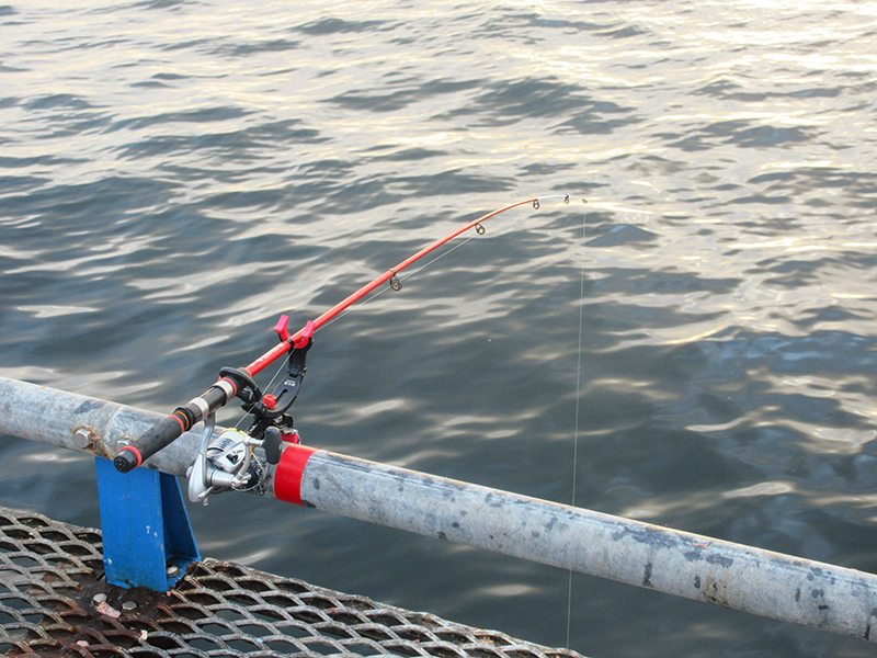 本牧海釣り施設　沖桟橋　サビキ釣り