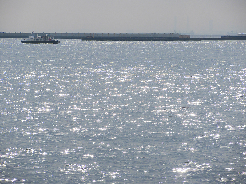 本牧海釣り施設　おすすめの釣り方は？