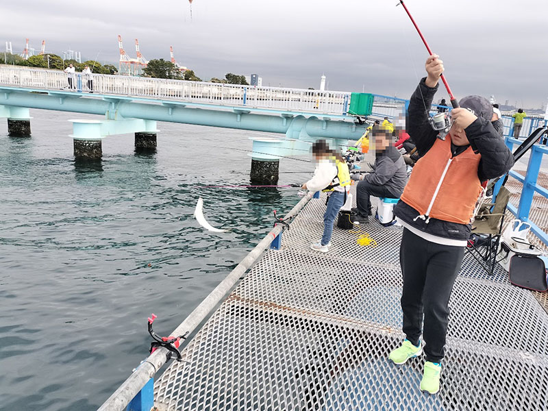 本牧海釣り施設　沖桟橋　釣れる場所はどこ？